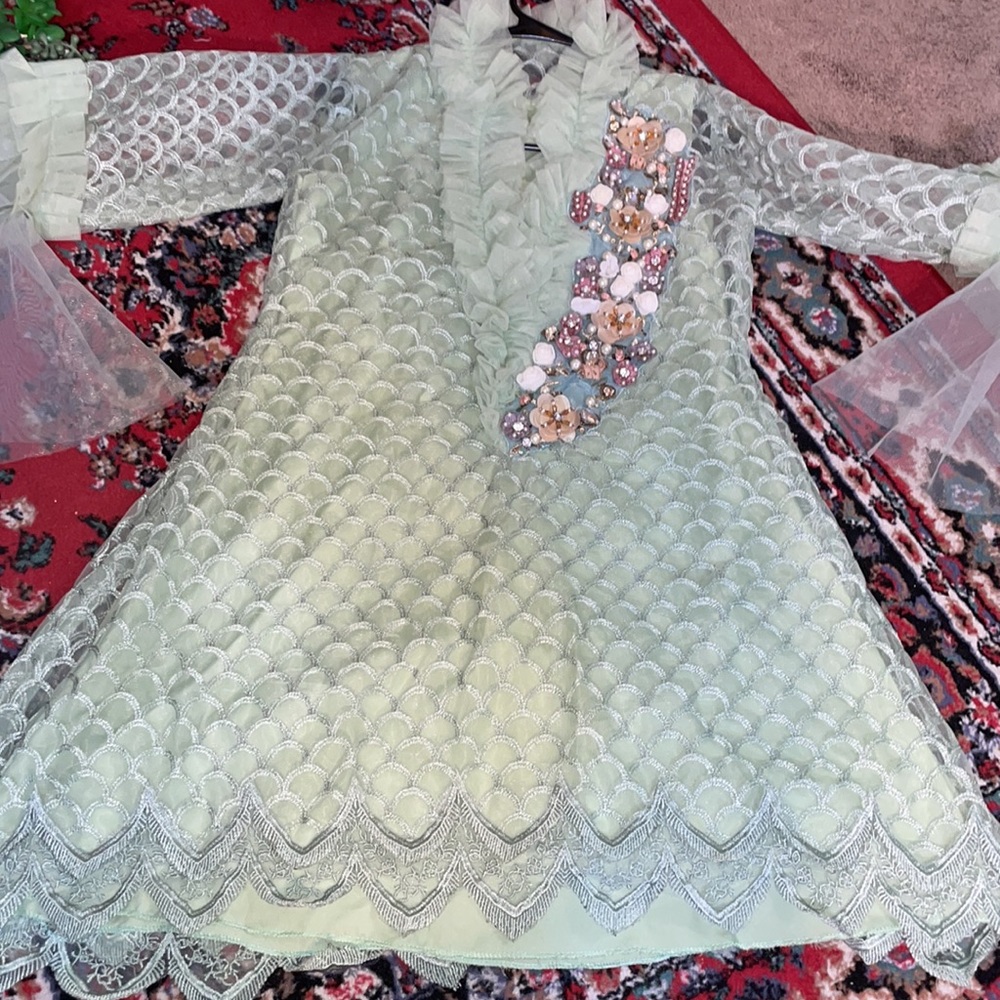 Pakistani embroidered net dress